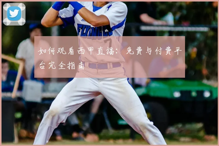 如何观看西甲直播：免费与付费平台完全指南